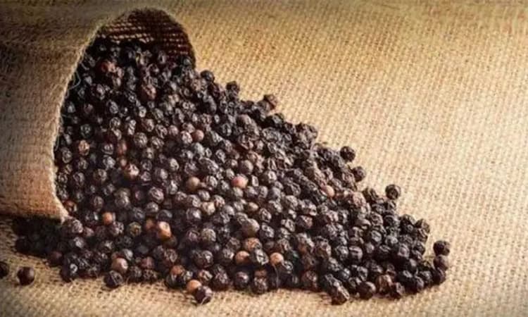 Puttur ಕಾಳುಮೆಣಸು ಧಾರಣೆ ಏರಿಕೆ ಸಾಧ್ಯತೆ