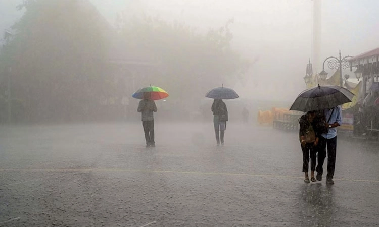Rain ಕರಾವಳಿ ಸಹಿತ ರಾಜ್ಯದ ವಿವಿಧೆಡೆ ಉತ್ತಮ ಮಳೆ, ನಾಲ್ಕು ಜೀವಹಾನಿ