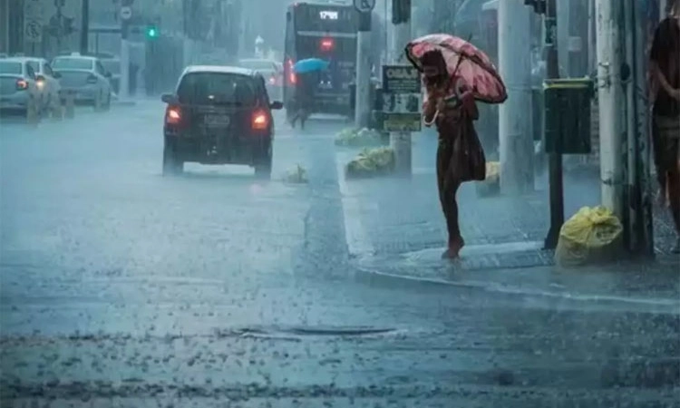 Heavy Rain ಕರಾವಳಿ, ಕೊಡಗು ಜಿಲ್ಲೆಯಲ್ಲಿ ಗುಡುಗು ಸಹಿತ ಬಿರುಸಿನ ಮಳೆ