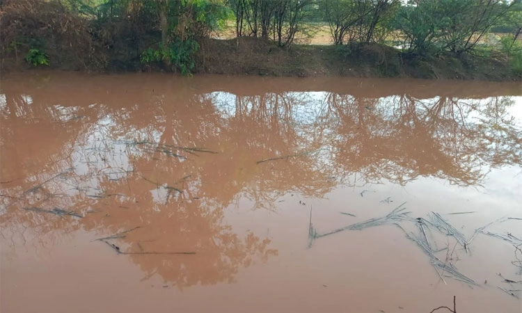 Rain: ಹಲವು ವರ್ಷಗಳ ನಂತರ ಕೆರೆಗಳಿಗೆ ನೀರು; ರೈತರ ಮೊಗದಲ್ಲಿ ಮಂದಹಾಸ