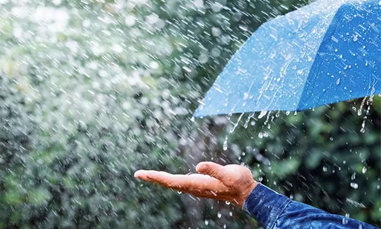 Rain Alert; ಮೇ 21, 22 ರಂದು ಕರಾವಳಿಯಲ್ಲಿ ಬಿರುಸಿನ ಮಳೆ ಸಾಧ್ಯತೆ