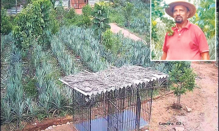 Karkala ಸಾಗರದಾಚೆಯಿಂದ ತವರಿಗೆ ಕರೆ ತಂದ ಕೃಷಿ ಪ್ರೀತಿ
