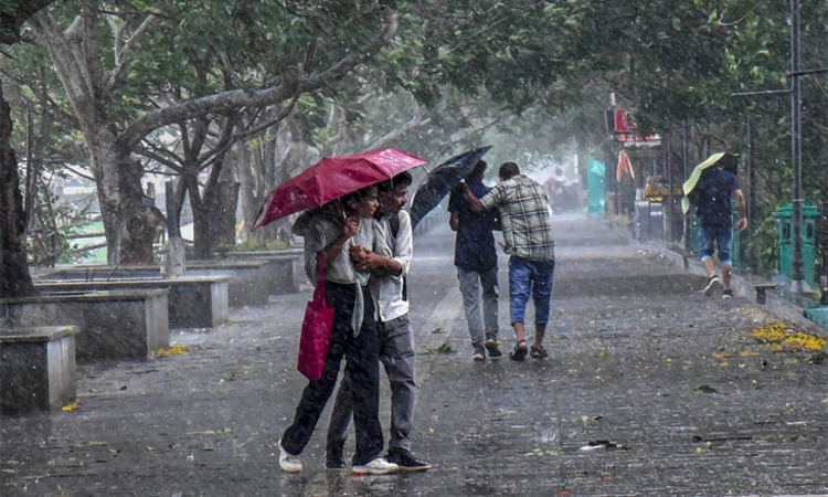 Tamil Nadu ಭಾರಿ ಮಳೆ ಎಚ್ಚರಿಕೆ: ಊಟಿಗೆ ಬರದಂತೆ ಪ್ರವಾಸಿಗರಿಗೆ ಸೂಚನೆ