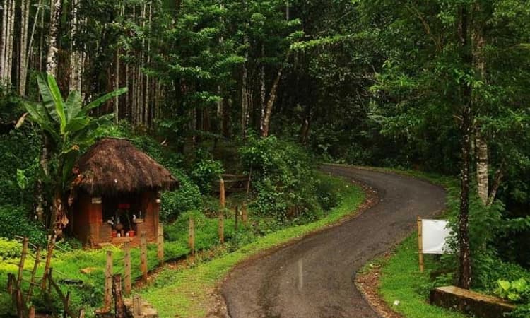 Desi Swara@100: ನನ್ನ ಊರು ಅಲ್ಲಿದೆ…ಸಪ್ತ ಸಾಗರದಾಚೆ ಎಲ್ಲೋ…