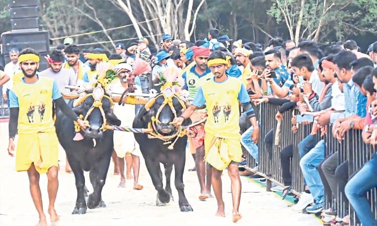 Bengaluru Kambala: ಬೆಂಗೂರ್‌ ಕಂಬ್ಳ ಮುಗೀಂಡ್‌, ಊರುಗ್‌ ಪೋಯಿ