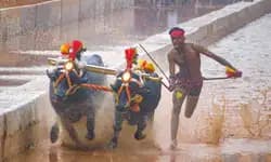 Bengaluru Kambala;ಸೋಮವಾರ ಮುಂಜಾನೆ ಸಂಪನ್ನಗೊಂಡ ಐತಿಹಾಸಿಕ ಕಂಬಳ; ಇಲ್ಲಿದೆ ಫಲಿತಾಂಶ ವಿವರ