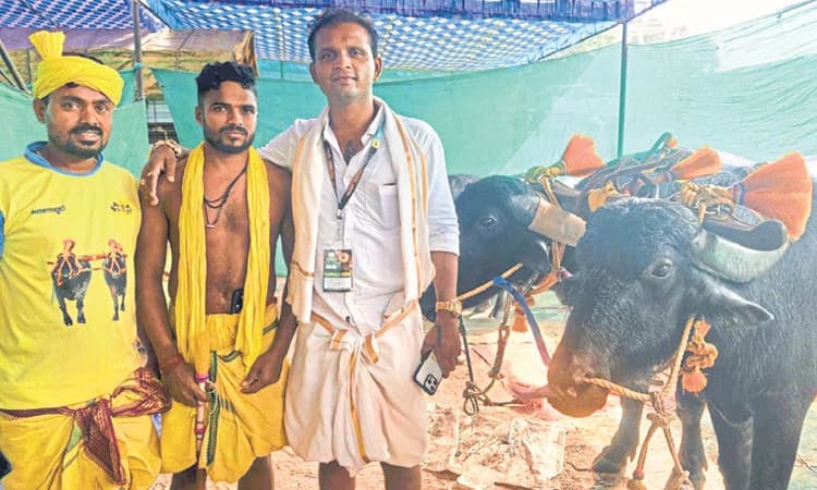 Bengaluru kambala: ಕೋಣದ ಜಾಕಿಗಳಿಗೂ ಉಂಟು ಕಟ್ಟುನಿಟ್ಟು