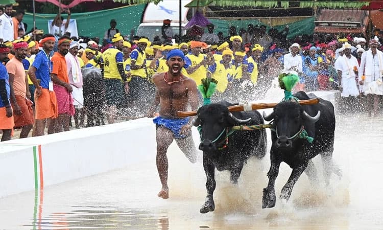 Bengaluru Kambala: ಚಿನ್ನ ಗೆದ್ದು ಬೀಗಿದ ಮಗ: ಅಪ್ಪನ ಕಣ್ಣಂಚಲಿ ನೀರು
