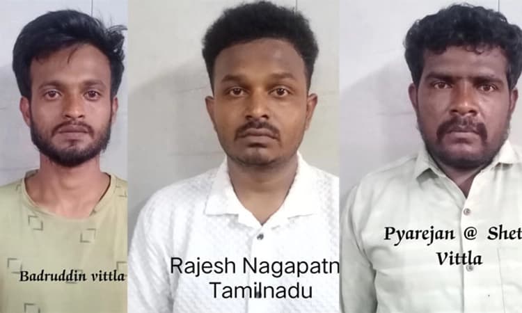 Mangaluru: 1.57 ಕೋಟಿ ರೂ.ಮೌಲ್ಯದ ತಿಮಿಂಗಿಲದ ವಾಂತಿ ಸಹಿತ ಮೂವರ ಬಂಧನ