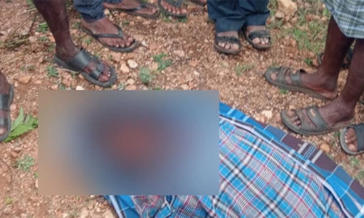 Mysuru ; ನರಭಕ್ಷಕ ವ್ಯಾಘ್ರ ದಾಳಿಗೆ ಮತ್ತೊಬ್ಬ ಮಹಿಳೆ ಬಲಿ