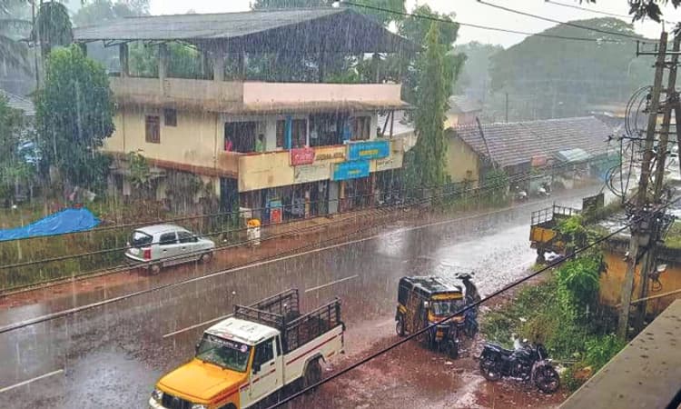 Rain: ಕರಾವಳಿಯ ವಿವಿಧೆಡೆ ಸಾಧಾರಣ ಮಳೆ