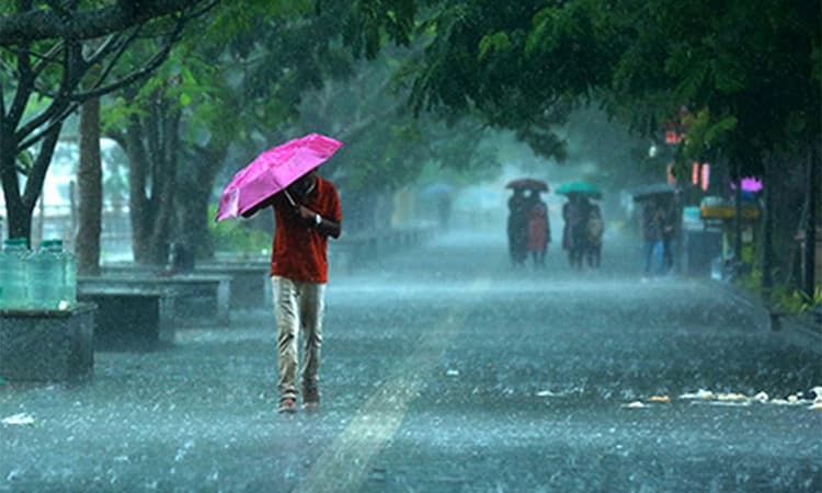 Rain: ಕೇರಳ, ತಮಿಳುನಾಡಿನಲ್ಲಿ ಬಿರುಸಿನ ಮಳೆ- ಹಲವೆಡೆ ಶಾಲೆಗಳಿಗೆ ರಜೆ ಘೋಷಣೆ
