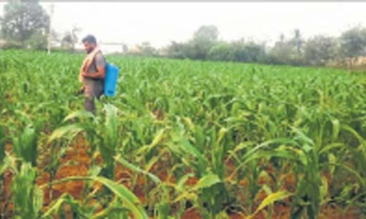 Haveri: ಕೈಕೊಟ್ಟ ಮಳೆ- ಹಿಂಗಾರು ಬಿತ್ತನೆಗೆ ಹಿನ್ನಡೆ