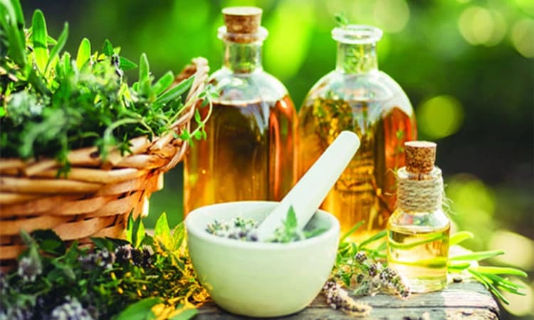 National Naturopathy Day; ಔಷಧ ರಹಿತ ಪ್ರಕೃತಿ ಚಿಕಿತ್ಸೆಯಿಂದ ರೋಗಮುಕ್ತ ಜೀವನ