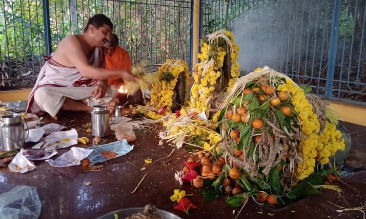 Deepavali Special: ದೀಪಾವಳಿ ವಿಶೇಷ… ಇಲ್ಲಿ ಹುಲಿ ದೇವರಿಗೇ ವಿಶೇಷ ಪೂಜೆ