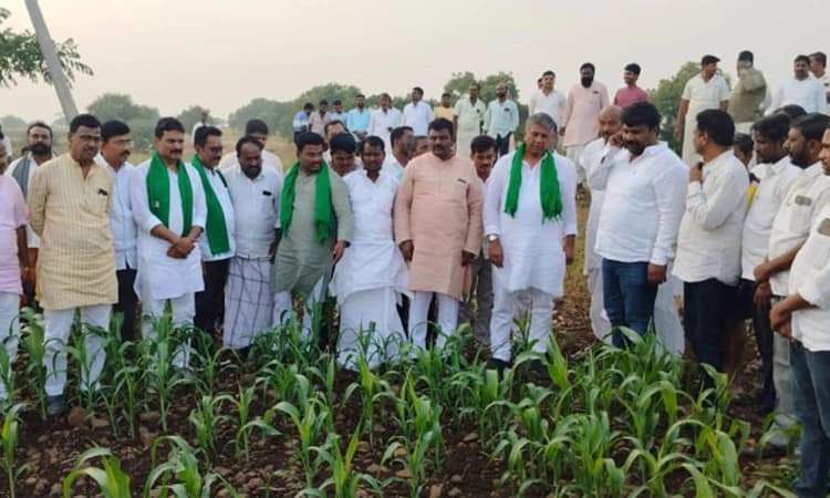 Drought; ರೈತರಿಗೆ ಬರ ಪರಿಹಾರ ನೀಡಲು ಮುಂದಾಗಿ: ಅರವಿಂದ ಬೆಲ್ಲದ