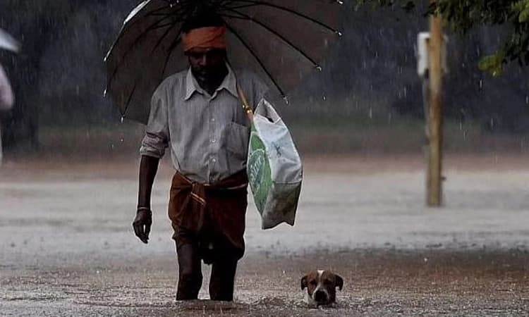 Rain: ಕೇರಳದಲ್ಲಿ ಭಾರೀ ಮಳೆ ಮುನ್ಸೂಚನೆ