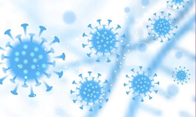 ಆಕ್ಸಿಜನ್‌ ಅವಘಡ: ತಜ್ಞರ ತಂಡ ಭೇಟಿ