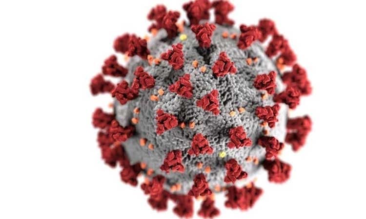 ಕೋವಿಡ್ ಆತಂಕ: ಕಾಮಾಂಡಹಳ್ಳಿಯ ಒಂದೇ ಗ್ರಾಮದ ನಾಲ್ವರು ಸಾವು