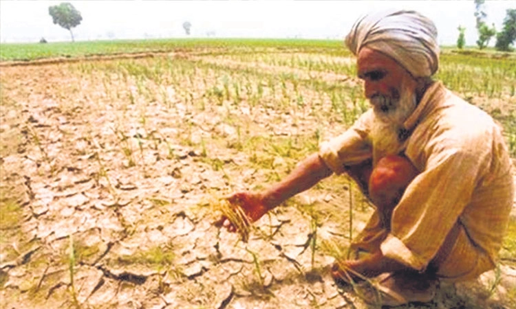Drought relief: ಕೇಂದ್ರದ ಬರ ಪರಿಹಾರಕ್ಕೆ ಕಾದು ಕುಳಿತ ರೈತರು