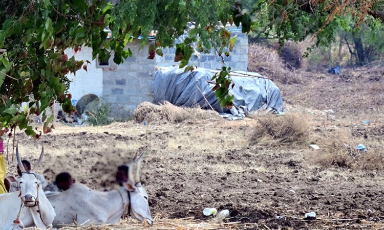 Sindhanur; ಒಂದೇ ದಿನ ‌ ಗ್ರಾಮದ ನಾಲ್ವರ ಸಾವು: ಭಯಭೀತರಾದ ಗ್ರಾಮಸ್ಥರು