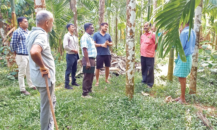 Sullia ವಿವಿಧೆಡೆ ಕಾಡಾನೆಗಳಿಂದ ಕೃಷಿ ಹಾನಿ : ಅರಣ್ಯ ಇಲಾಖೆ ಅಧಿಕಾರಿಗಳಿಂದ ಪರಿಶೀಲನೆ