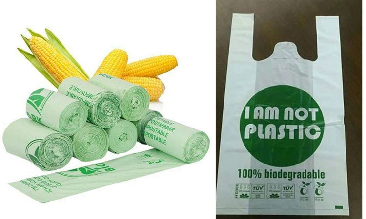 Eco-friendly Bio Plastic: ಪರಿಸರ ಸ್ನೇಹಿ ಮೆಕ್ಕೆಜೋಳದ ಬಯೋ ಪ್ಲಾಸ್ಟಿಕ್‌
