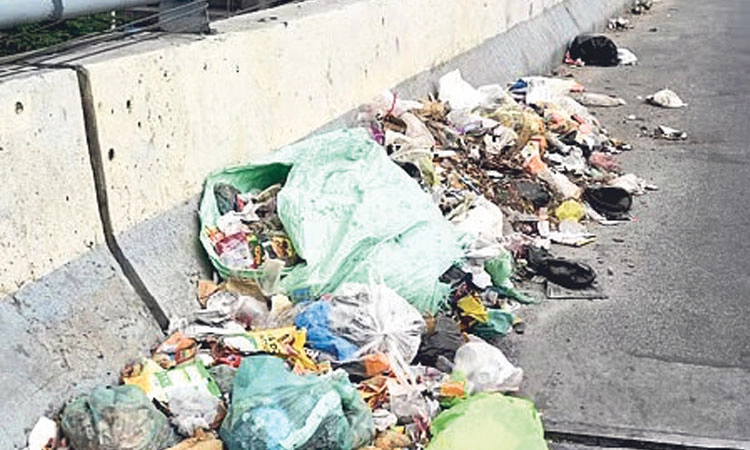 Bengaluru: ಫ್ಲೈಓವರ್‌ಗಳಲ್ಲೂ ಕಸ ಸುರಿಯುವ ವಾಹನ ಸವಾರರು 