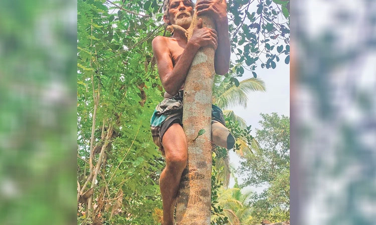 ಇವರ ಬದುಕಿನ ಬಂಡಿಗೆ ಆತ್ಮವಿಶ್ವಾಸ-ಛಲವೇ ಚಕ್ರಗಳು! ಇರುವುದೊಂದೇ ಕಾಲು, ಇರುವುದೊಂದೇ ಬದುಕು