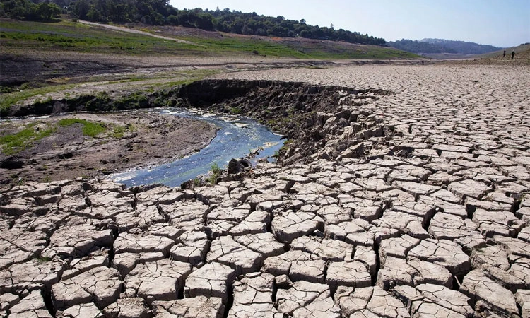Drought Study ನ.3ರಿಂದ ಬಿಜೆಪಿಯಿಂದ ಬರ ಅಧ್ಯಯನ
