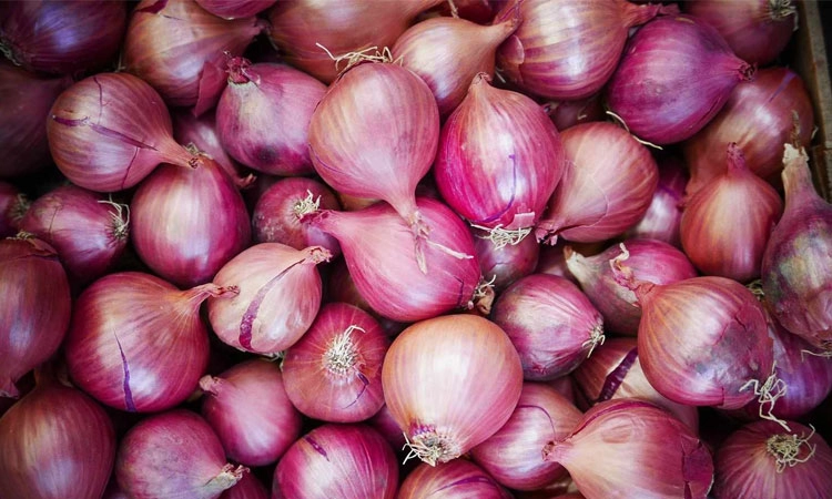 Onion Price Hike: ಗ್ರಾಹಕರಿಗೆ ಬರೆ; ಗುಣಮಟ್ಟದ ಕೆ.ಜಿ. ಈರುಳ್ಳಿಗೆ 80 ರೂಪಾಯಿ