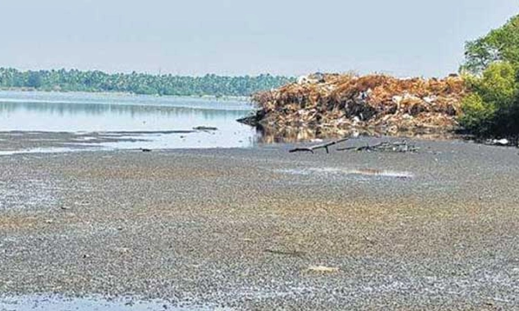 Panchagangavali: ಪಂಚಗಂಗಾವಳಿ ಅಧ್ಯಯನಕ್ಕೆ ಇಂಟ್ಯಾಕ್ಟ್ ಮಹತ್ವ‌
