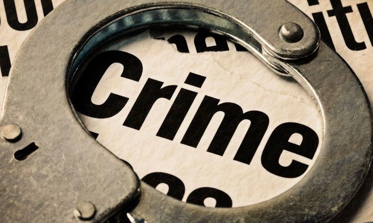 Crime: ನಾಯಿ ಕಚ್ಚಿದ ದ್ವೇಷದಿಂದಲೇ ಎರಡು ಬೈಕ್‌ಗಳಿಗೆ ಬೆಂಕಿ?