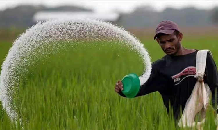 Agri: ರಸಗೊಬ್ಬರಕ್ಕೆ ಸಬ್ಸಿಡಿ: ರೈತರ ನೆರವಿಗೆ ಧಾವಿಸಿದ ಕೇಂದ್ರ