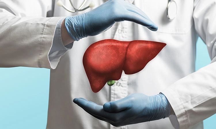 Fatty Liver Disease: ಫ್ಯಾಟಿ ಲಿವರ್‌ ಡಿಸೀಸ್‌