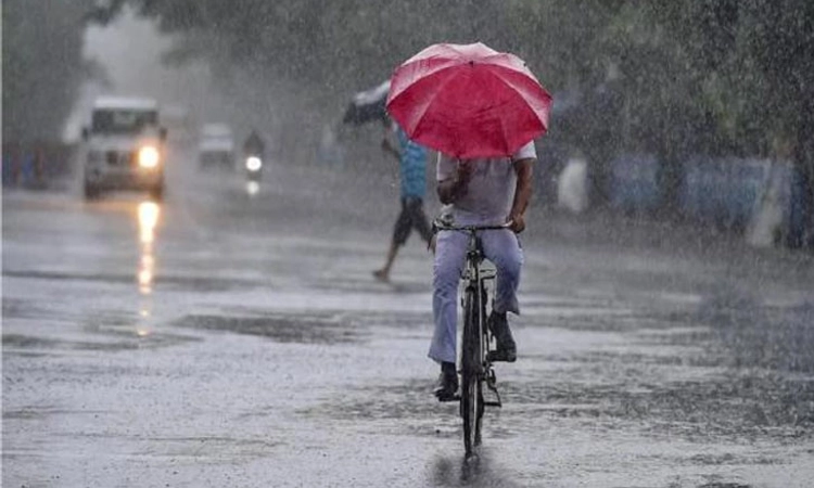 Cyclone ಮಳೆ: ಕರ್ನಾಟಕದ ಹಲವು ಜಿಲ್ಲೆಗಳಿಗೆ ಯೆಲ್ಲೋ ಅಲರ್ಟ್ ಘೋಷಣೆ