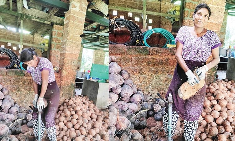 Women empowerment: ಕಾಯಿ ಸುಲಿದಂತೆಲ್ಲ ಕಷ್ಟವೂ ಕಳೆಯಿತು!