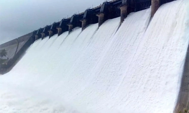 Linganamakki: ಡೆಡ್‌ ಸ್ಟೋರೇಜ್‌ನತ್ತ ಸಾಗುತ್ತಿದೆ ಲಿಂಗನಮಕ್ಕಿ ಡ್ಯಾಂ!