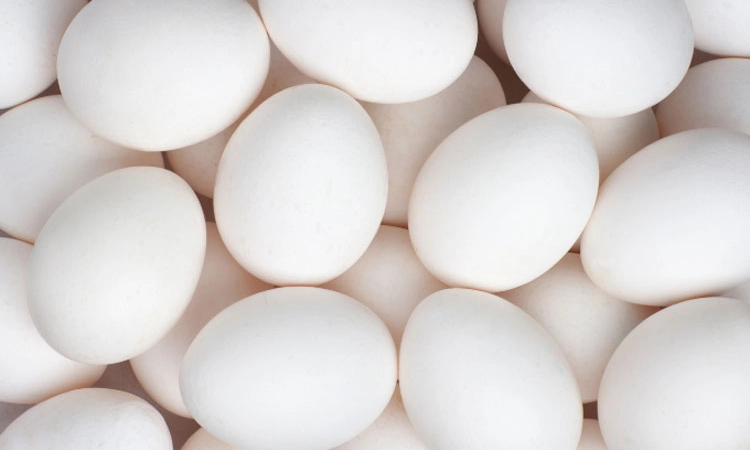 EGG ಅಂಗನವಾಡಿಗಳಿಗೆ ಬಾಲ ವಿಕಾಸ ಸಮಿತಿ ಮೂಲಕ ಮೊಟ್ಟೆ ಪೂರೈಕೆ