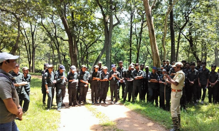 Wildlife week: ವನ್ಯಜೀವಿ ಸಪ್ತಾಹ; ನಾಗರಹೊಳೆಯಲ್ಲಿ ವಿವಿಧ ಸ್ಪರ್ಧೆಗಳ ಆಯೋಜನೆ
