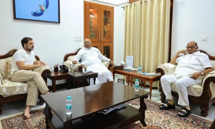 INDIA ;ಖರ್ಗೆ ಮತ್ತು ರಾಹುಲ್ ಭೇಟಿಯಾದ ಶರದ್ ಪವಾರ್: ಮಹತ್ವದ ಚರ್ಚೆ