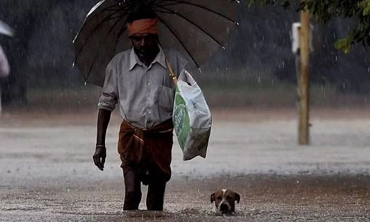 Rain: ಇದು ಮುಂಬರುವ ದಿನಗಳ ಮುನ್ಸೂಚನೆ ಮಾತ್ರ…