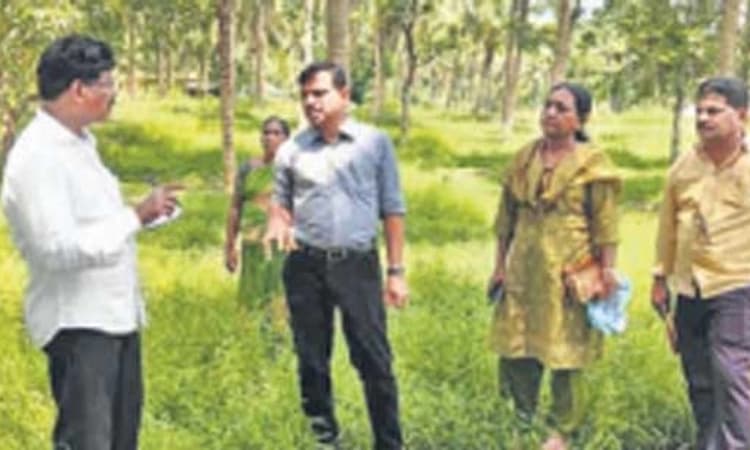 Kundapura: ತೆಂಗಿನ ಮರಗಳಿಗೆ ಬೇರು ಬಾಧೆ; ಕಾಂಡ ಸೋರುವ ರೋಗ ಪತ್ತೆ