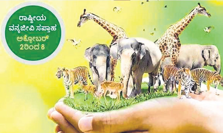 Chikkaballapur: ಜಿಲ್ಲೆಯಲ್ಲಿಲ್ಲ ವನ್ಯಜೀವಿಗಳಿಗೆ ಸೂಕ್ತ ರಕ್ಷಣೆ