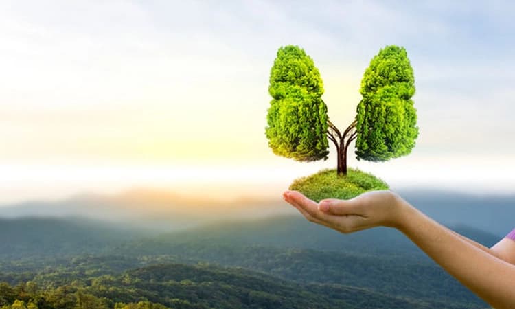 Karnataka: ಶುದ್ಧಗಾಳಿಗೆ ಕರ್ನಾಟಕ ಉತ್ತಮ !- ಕರುನಾಡಿನ 10 ಸ್ಥಳಗಳಿಗೆ ಮೆಚ್ಚುಗೆ