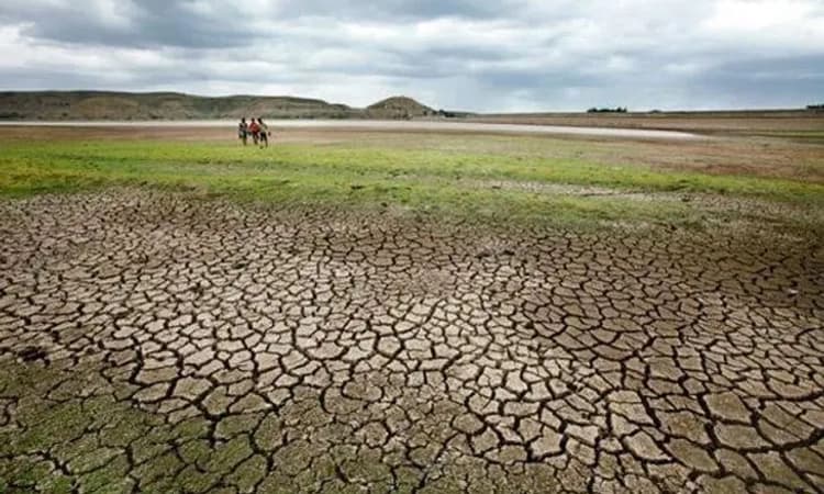 Drought; ಅ.6 ರಂದು ವಿಜಯಪುರ ಜಿಲ್ಲೆಗೆ ಕೇಂದ್ರ ಬರ ಅಧ್ಯಯನ ತಂಡ