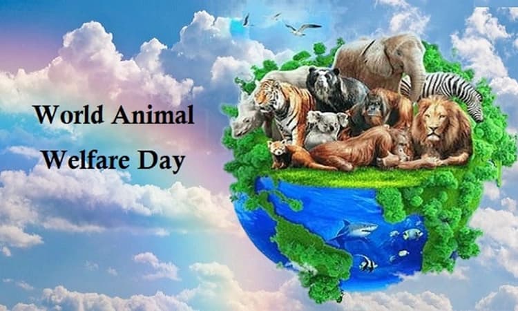 World Animal Welfare Day: ಪ್ರಾಣಿಗಳ ಕ್ಷೇಮಕ್ಕಾಗಿ ಶ್ರಮಿಸುವ ಜಗತ್ತು ಸೃಷ್ಟಿಯಾಗಲಿ