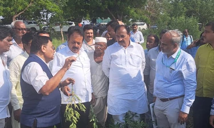 Kalaburagi; ಹಿಂಗಾರು ಬೆಳೆಯೂ ಅನುಮಾನ: ಸಚಿವ ಚೆಲುವರಾಯಸ್ವಾಮಿ