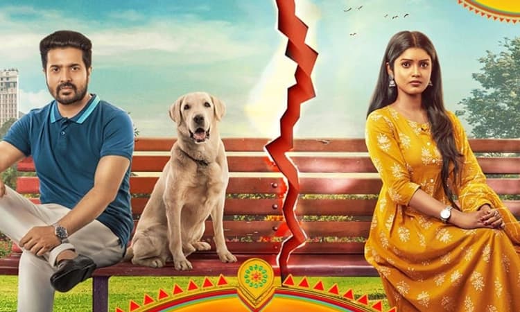 Kannada Serial; ಪ್ರೀತಿ ಕಥೆ ‘ಅವನು ಮತ್ತೆ ಶ್ರಾವಣಿ’; ಮುಖ್ಯ ಪಾತ್ರದಲ್ಲಿ ಶ್ವಾನ