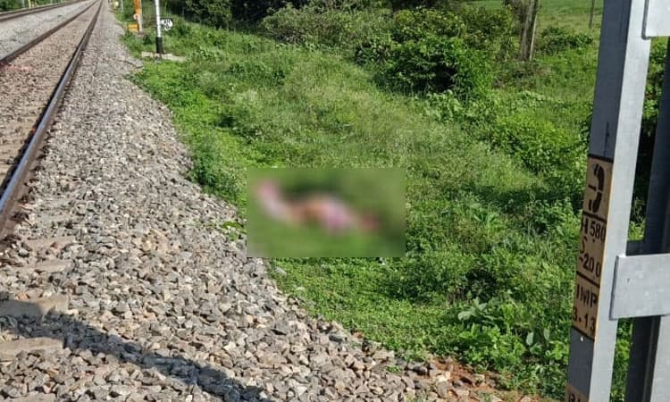 Tumkur: ಸಾಲಭಾದೆ ತಾಳಲಾರದೇ ಒಂದೇ ಕುಟುಂಬದ ಮೂವರು ರೈಲಿಗೆ ಸಿಲುಕಿ ಸಾವು